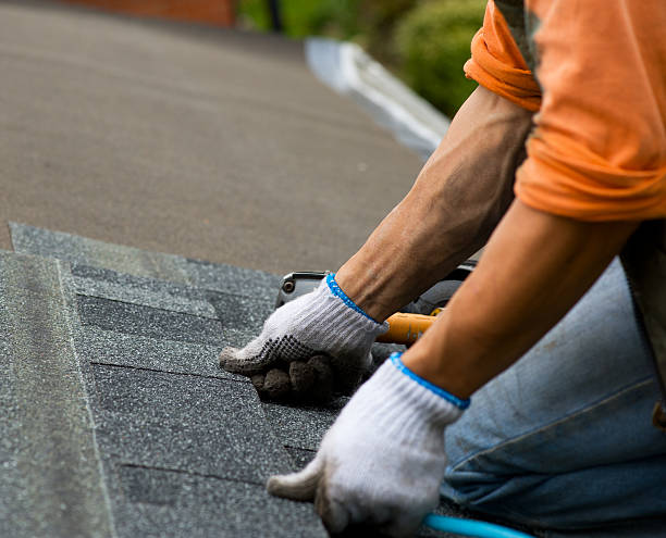 Gutter Installation and Roofing in Concord, AL